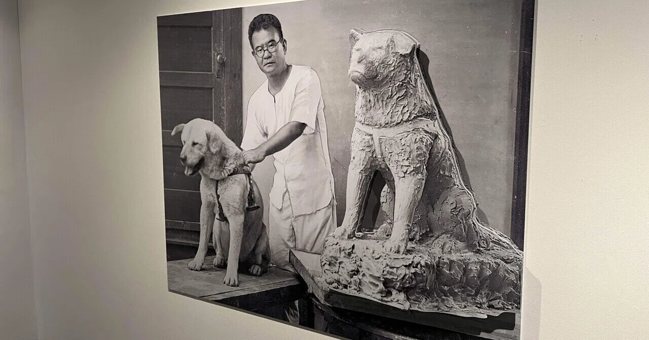 ハチ公像が長く愛される理由 渋谷区立松濤美術館 安藤照展感想｜キクチ