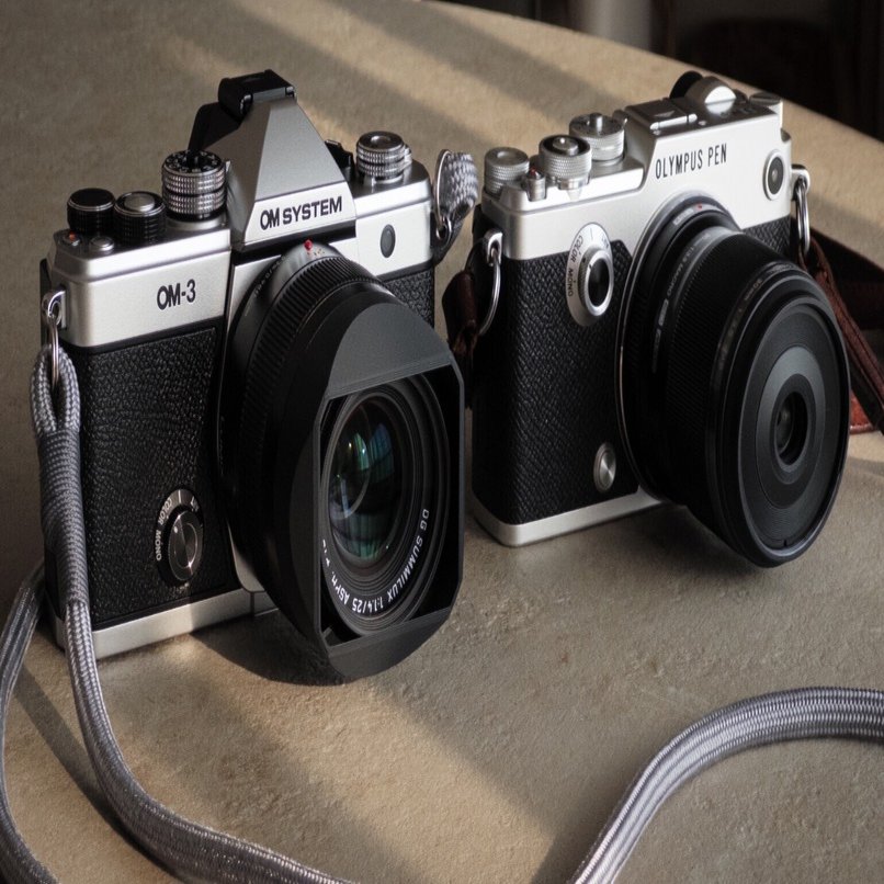 OM-3とPEN-Fの画質を比べてみる｜kamo