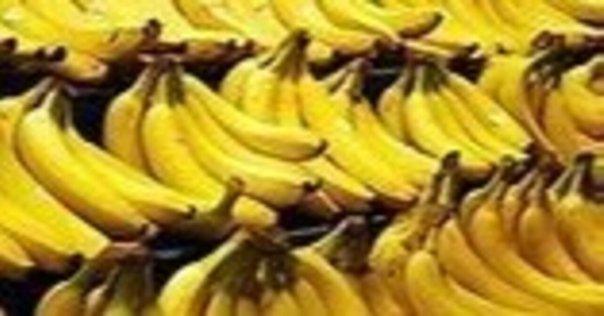 ばなな@沖縄ページ Bananama (@bananama_farm) • Instagram photos and videos