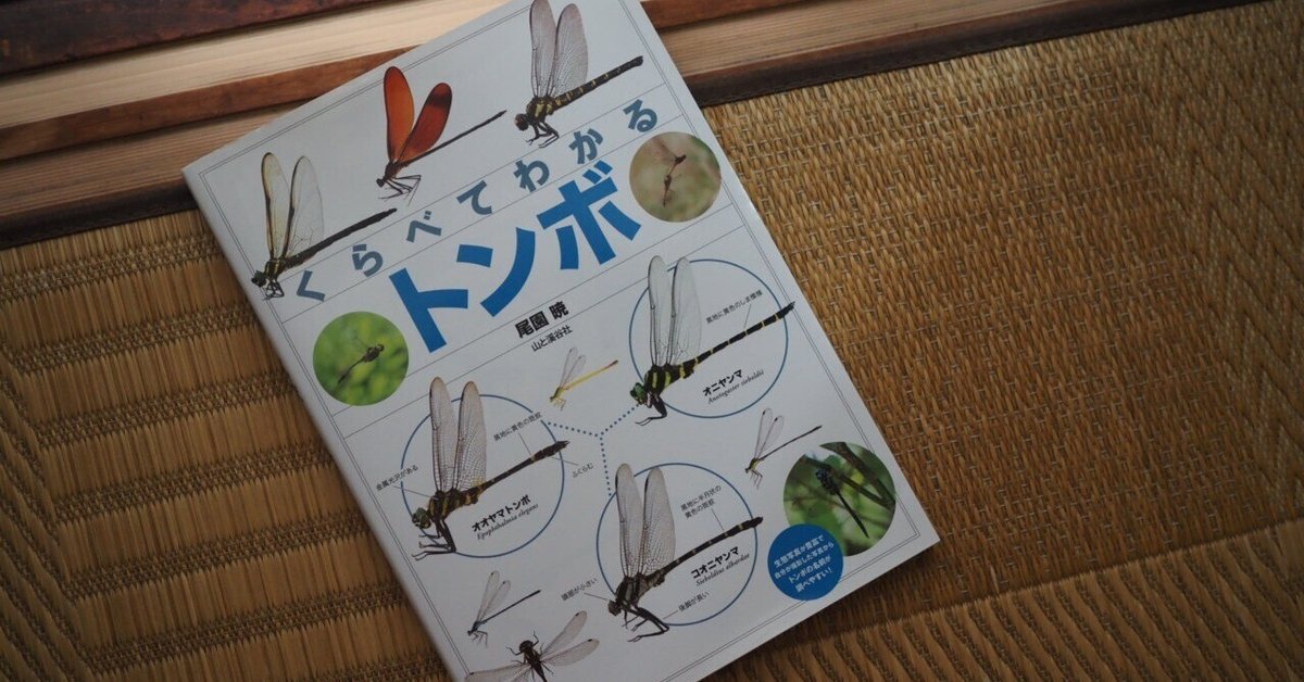 使いやすい『くらべてわかるトンボ』｜こんとん
