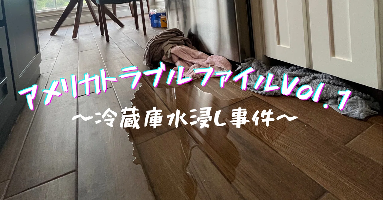 冷蔵庫 事件