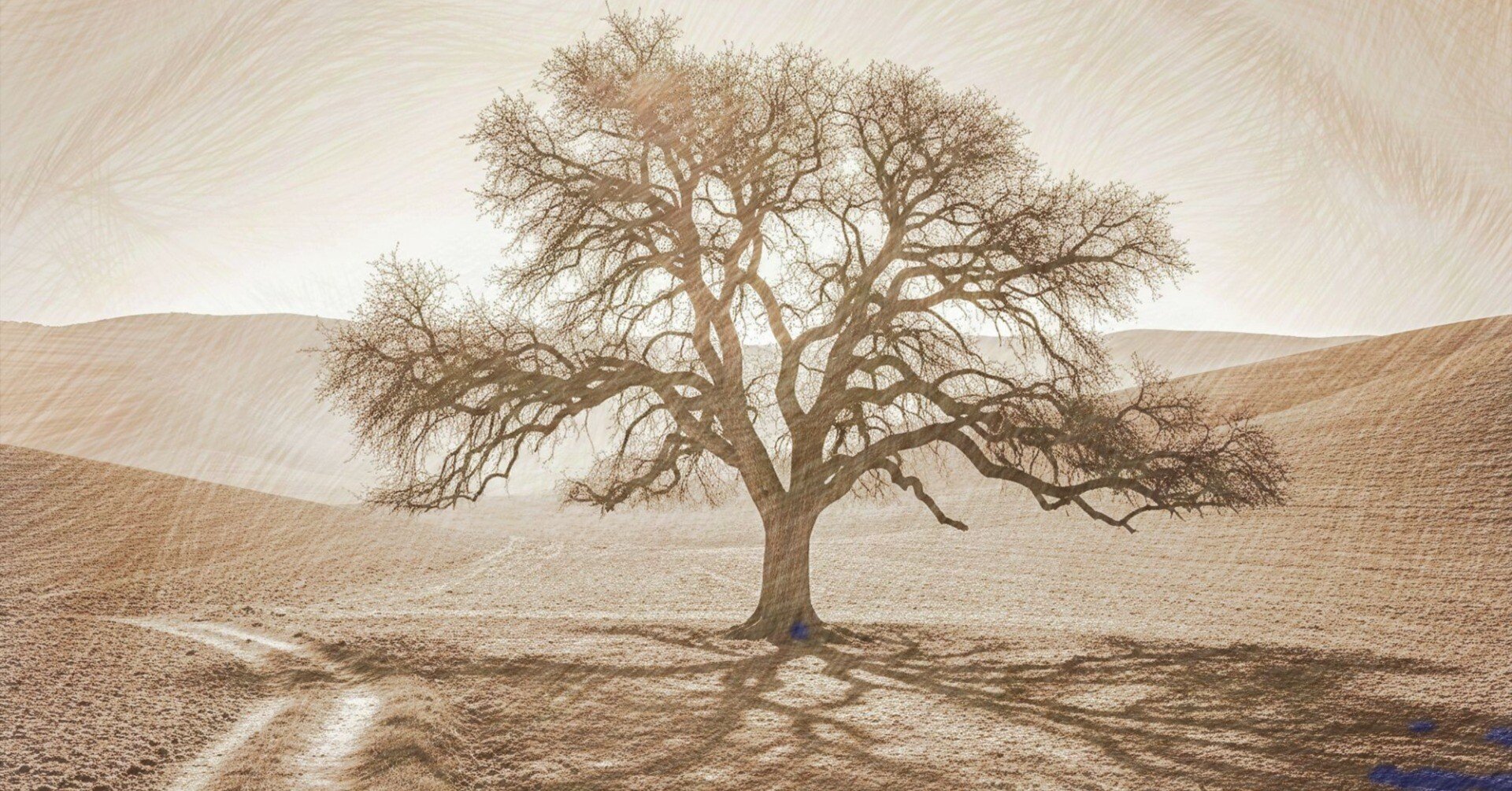 自作の色鉛筆画、メロディー｜流離人