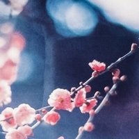 ヒプマイキャラの名前について考察する 及川 おいかわ Note