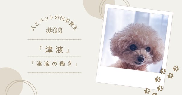 【極美品】創傷の治癒 Wound healing 新しい創傷治療：