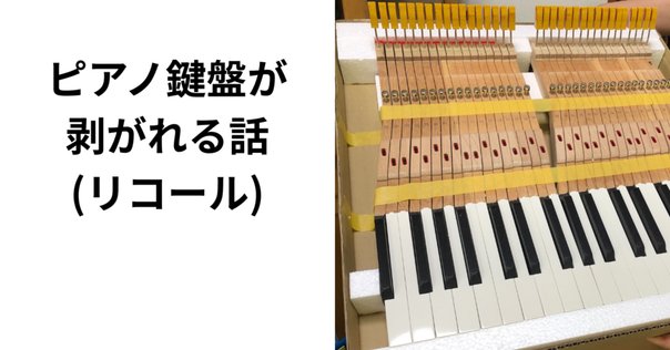 ピアノも音楽も超えたスリリングな芸術論──坂本龍一『commmons