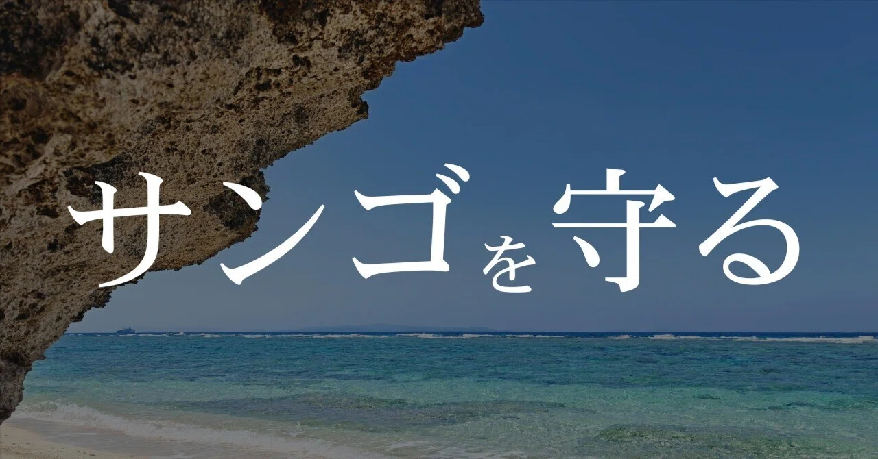 ビーチフレンドリー】私が愛用している日焼け止め｜ジャッキー