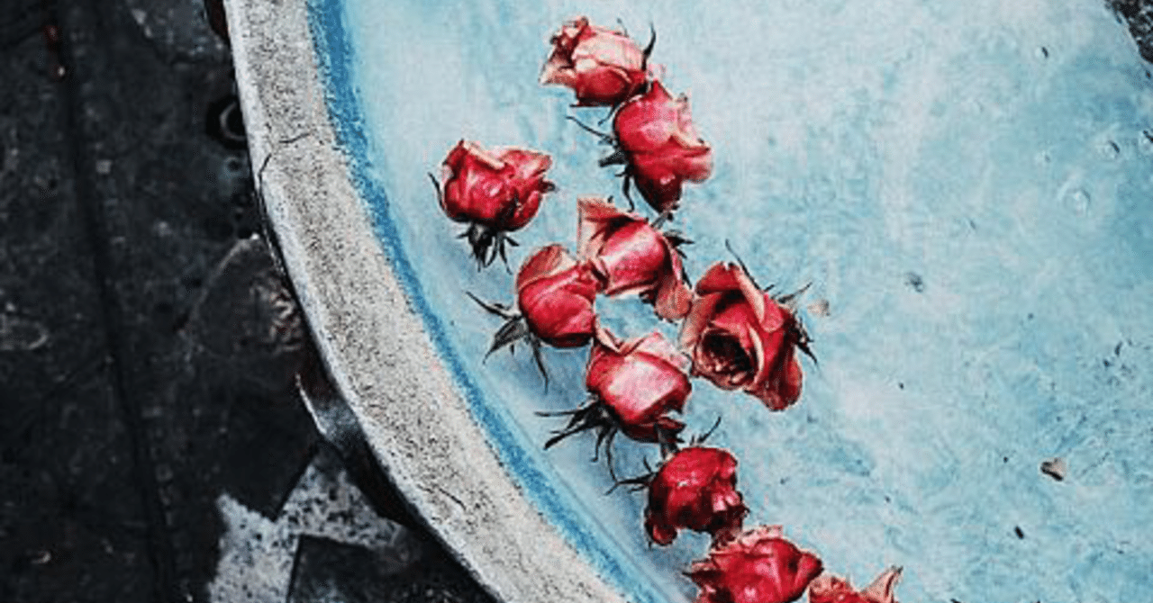 川上未映子さんのエッセイ 𝚙𝚒𝚙𝚒𝚝𝚊 Note