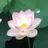 Xinjan