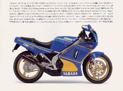 1960年ゴロワーズ 【公式通販】