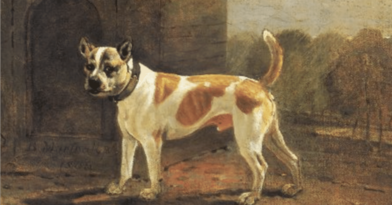 Fox Republic] 筋トレ やる気がないなら家に帰れ ピットブル 犬 キッズ パーカー スウェット イエロー 150cm メンズ スウェット  トレーナー フレンチブルドッグ 犬 いぬ ダンベル 筋トレ 筋肉 ワークアウト ジム by Fox Republic : FOX REPUBLIC -  通販 - Yahoo ..., image size:1280x669