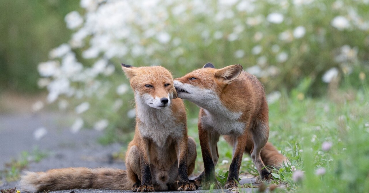 7月に撮った写真｜Lateral Lab.