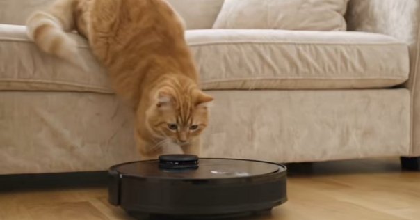 彡決算セール彡Gulcircle 猫 自動トイレ 内蔵バッテリー 自動清掃 Amazon | Gulcircle 猫 トイレ 猫トイレ 自動:自動ネコトイレ