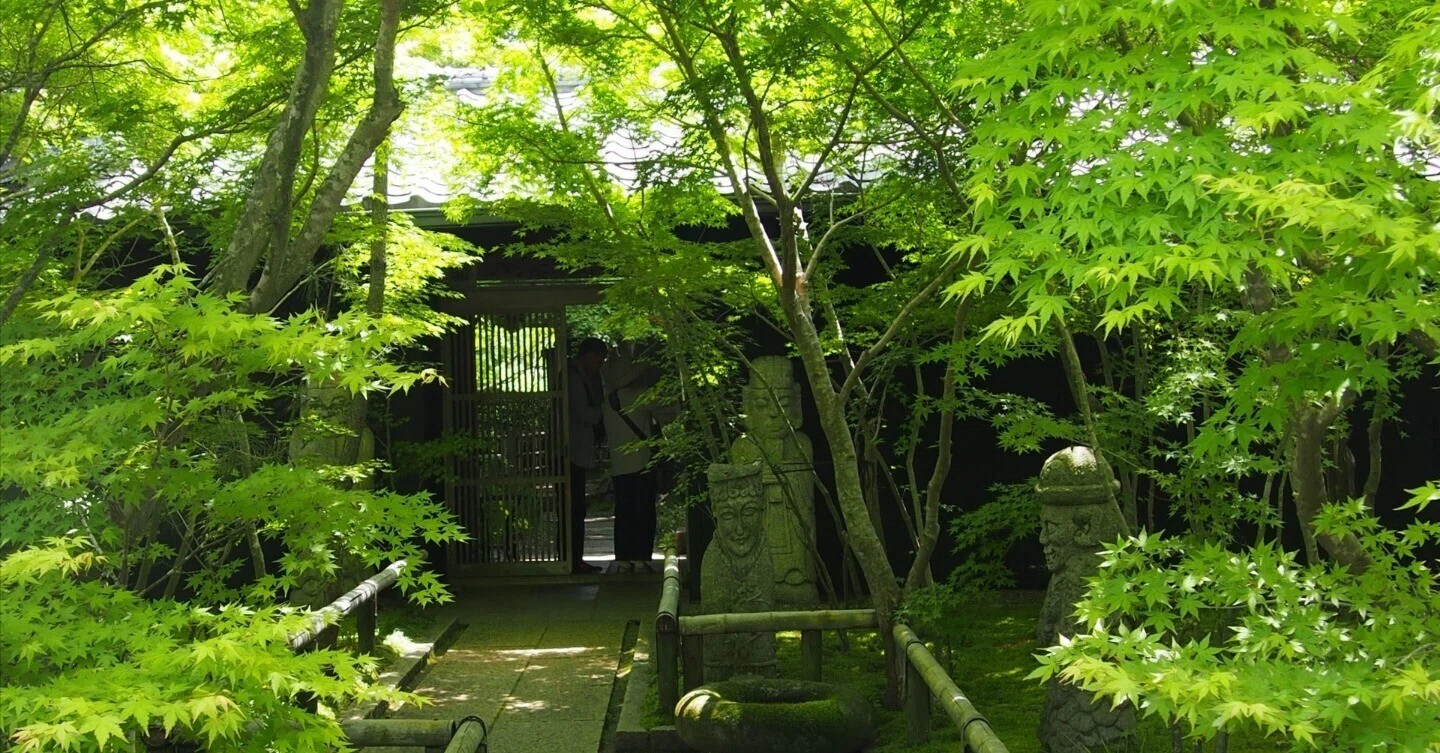 贅沢な緑の時間。松山庭園美術館で深緑を味わい尽くす。｜niwa_emon