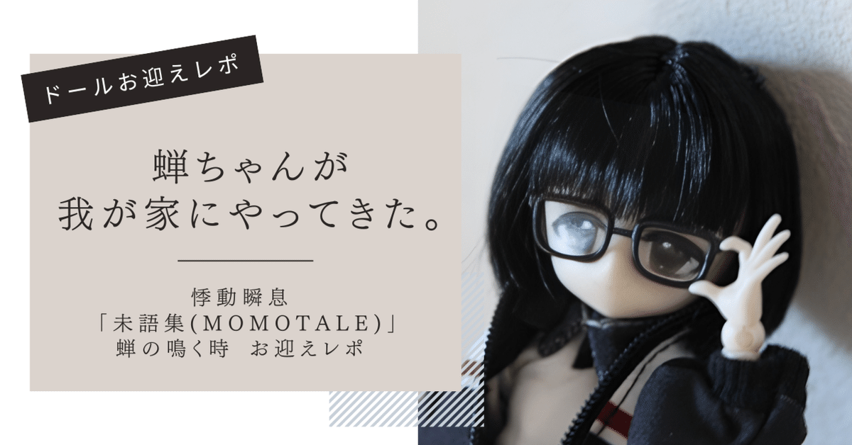 ドールお迎えレポ ： 蝉ちゃんが我が家にやってきた。 ― 悸動