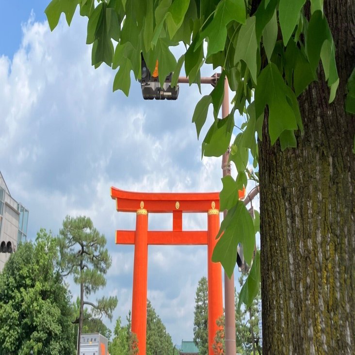 京大卒が教える🌻🍧夏の京都観光のおすすめスポット｜東山エリア観光