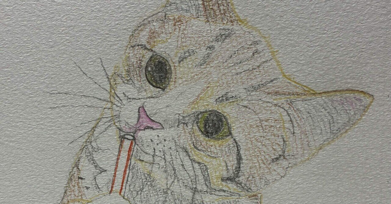 可愛い子猫の色鉛筆画です。｜まる