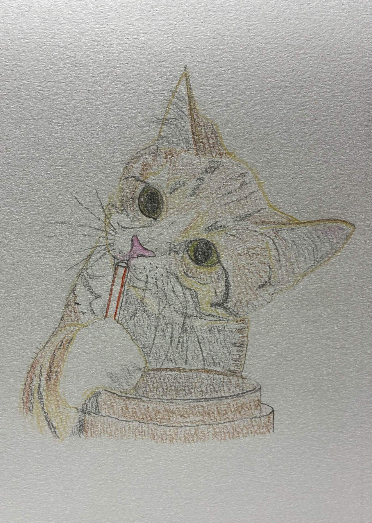 まるちゃんです 色鉛筆画 可愛い子猫の色鉛筆画です。｜まる