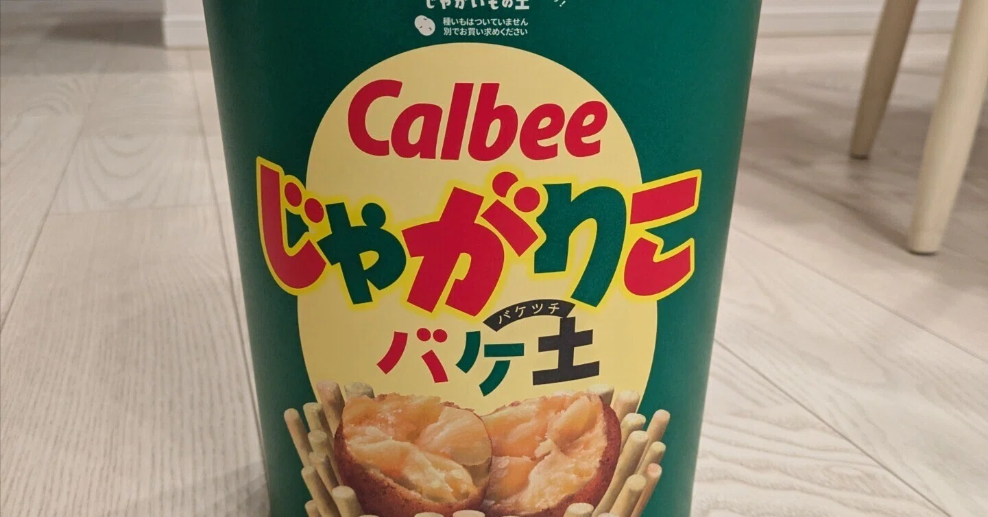 家のこと じゃがりこバケ土との日々｜あんなつ