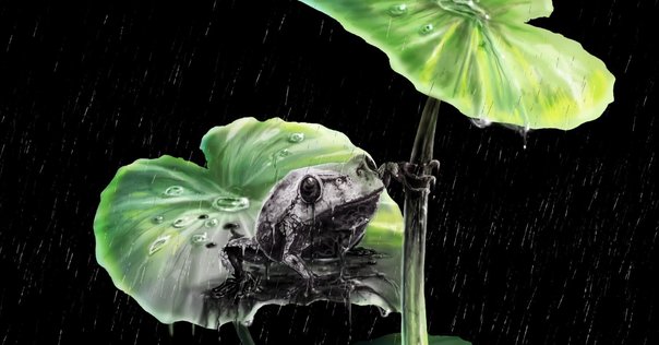 中国　青花　瓶　徳利　蓮池水鳥図 忘れへんうちに Avant d'oublier: 蓮池水禽図
