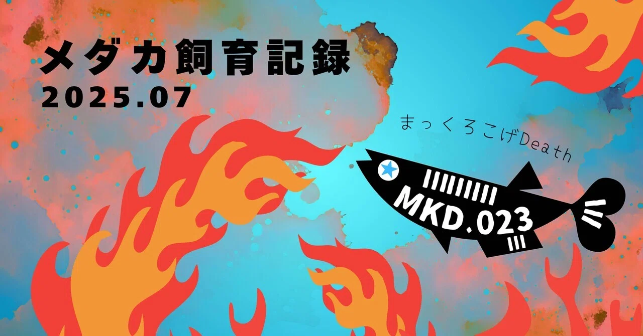 メダカ飼育記録 2025年7月｜MKD.
