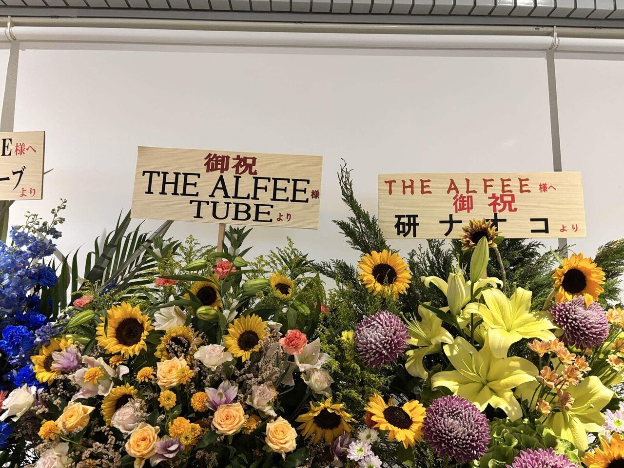 THE ALFEE Circle of The Rainbow 2025年 THE ALFEE Summer Celebration 2025「Circle of The Rainbow