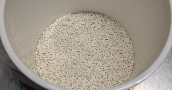 麹作り箱　数回使用 お家で麹造り -気負わない簡単麹の作り方-｜日本のスーパー