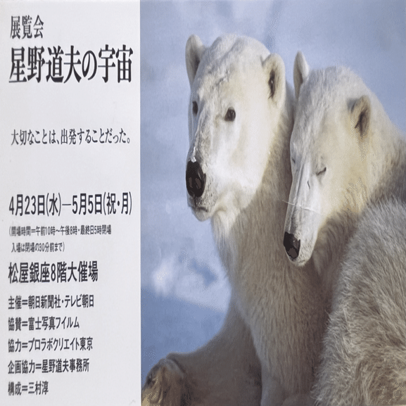 アート】動物写真の素晴らしさを教えてくれた、星野道夫氏｜sonesone99