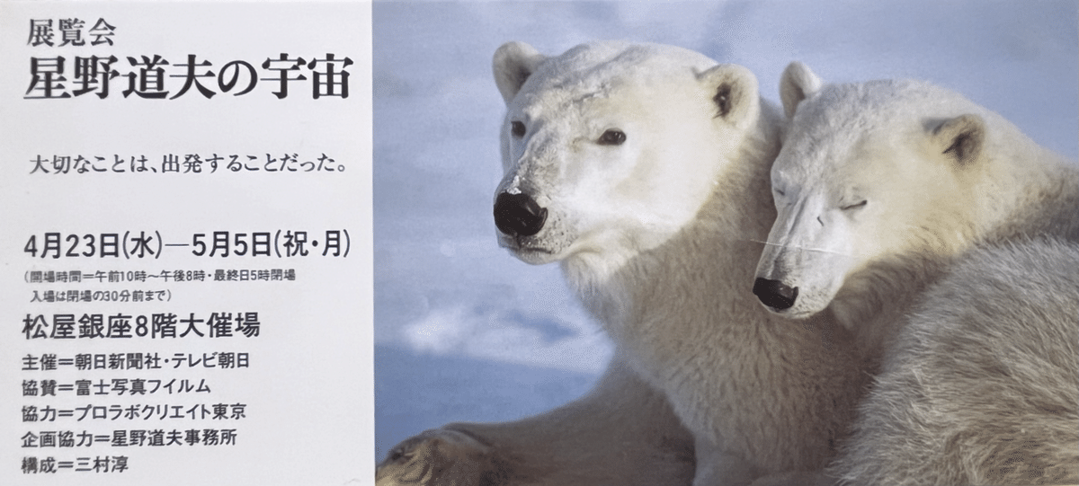 星野道夫　シロクマ親子ポスター 星野道夫 シロクマ親子ポスター イルカと白くま、ダブル道夫の