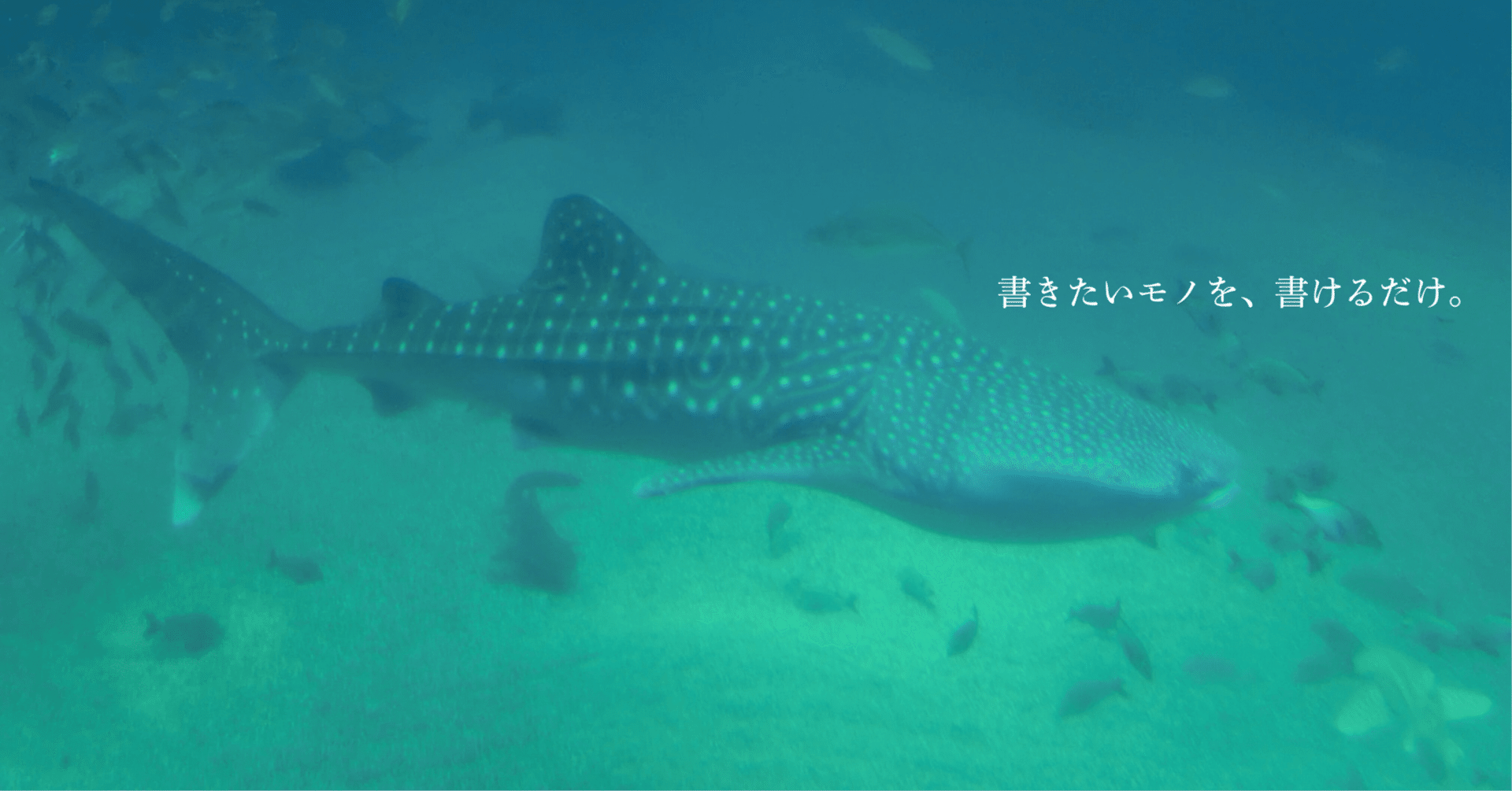 千柳亭春宵【Senryutei-Syunsyo】｜note