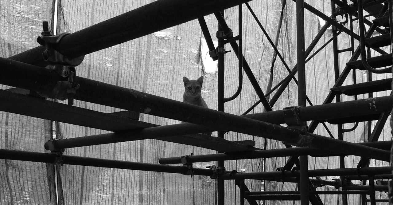 克巳の年のノート Note