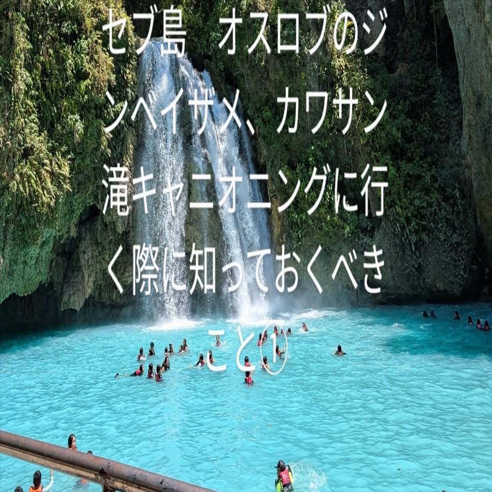 セブ島 オスロブのジンベイザメ、カワサン滝キャニオニングに行く際に