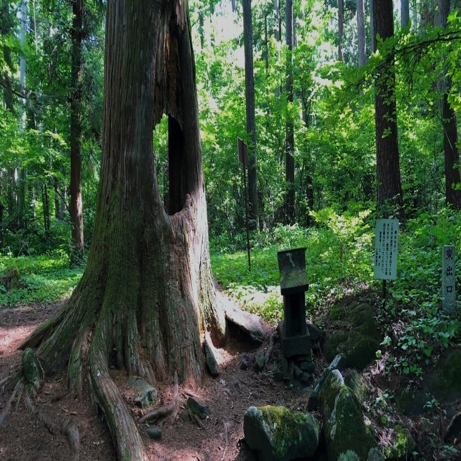 謎の廃村、稗之底古村址へ｜ういうい