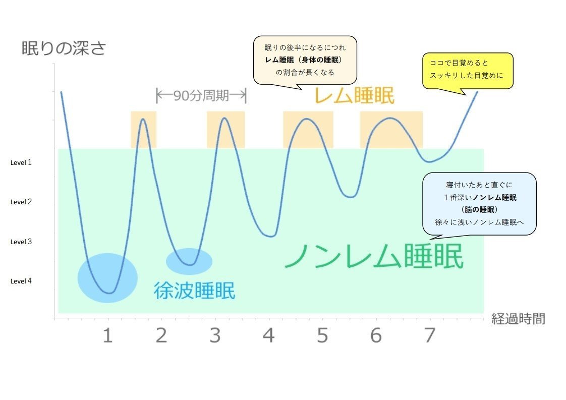 ノンレム睡眠