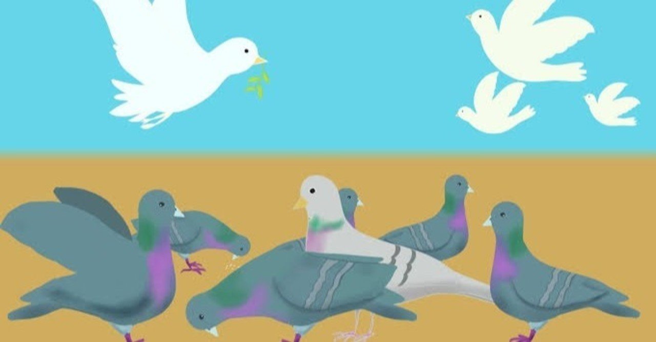 第869回 鳩 という 鳩 のことを調べる 翆野 大地 Note