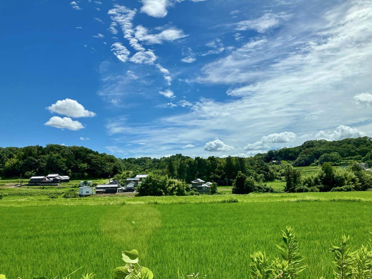 h.yano6点　(ご依頼4点)清水×3・嵐山+額付きミコノス・ロンドン 山水有清音 布字｜shiho