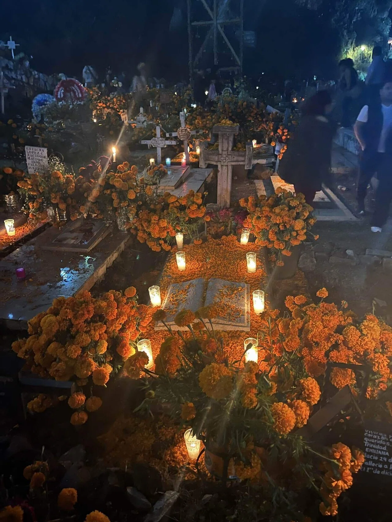 お盆】ご先祖様、今年のお盆はちょっと派手です。精霊馬はメキシコ経由