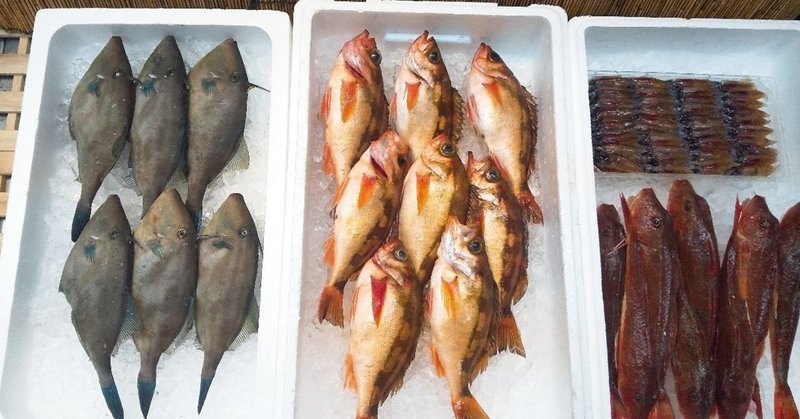 Ecの不安 リピートが怖い 酒井まゆみ Note