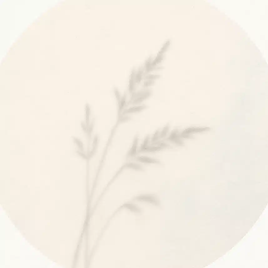 ことのね