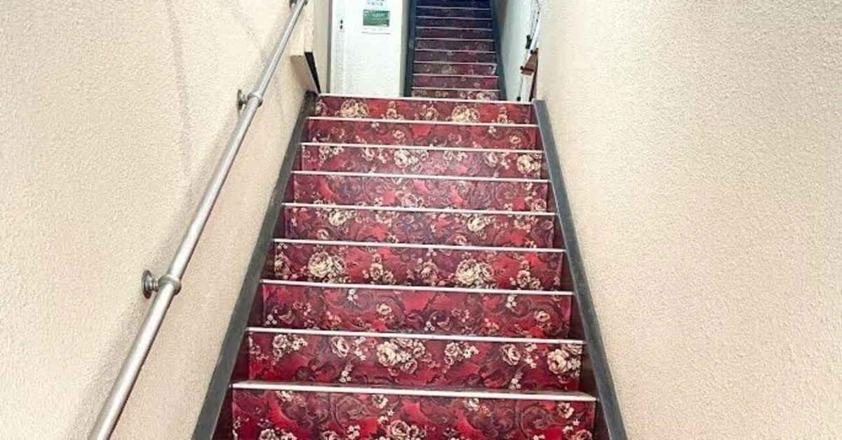 èŠåºãç»å