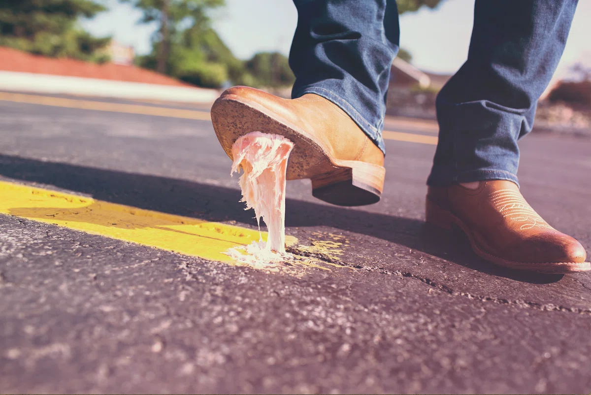 Canva_-_Person_Stepped_on_Gum_jpg_と_ダウンロード