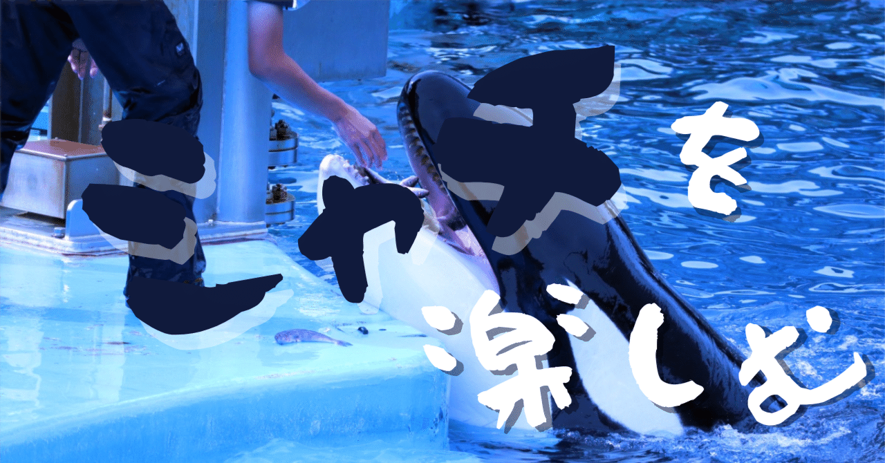 水族館好きが偏愛を語る vol.20『水族館のシャチを楽しむ』｜伊藤拓也