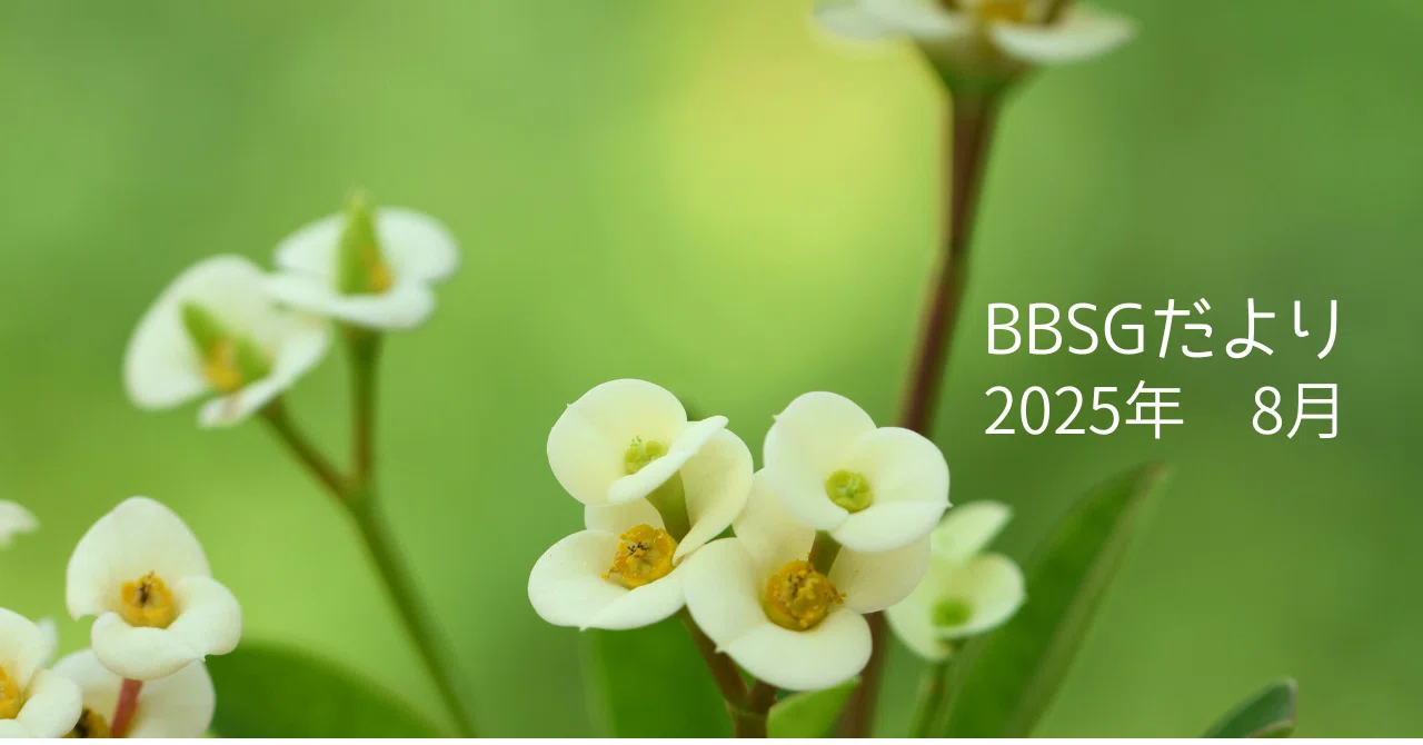 BBSGだより 2025年8月 決然とした態度｜pee