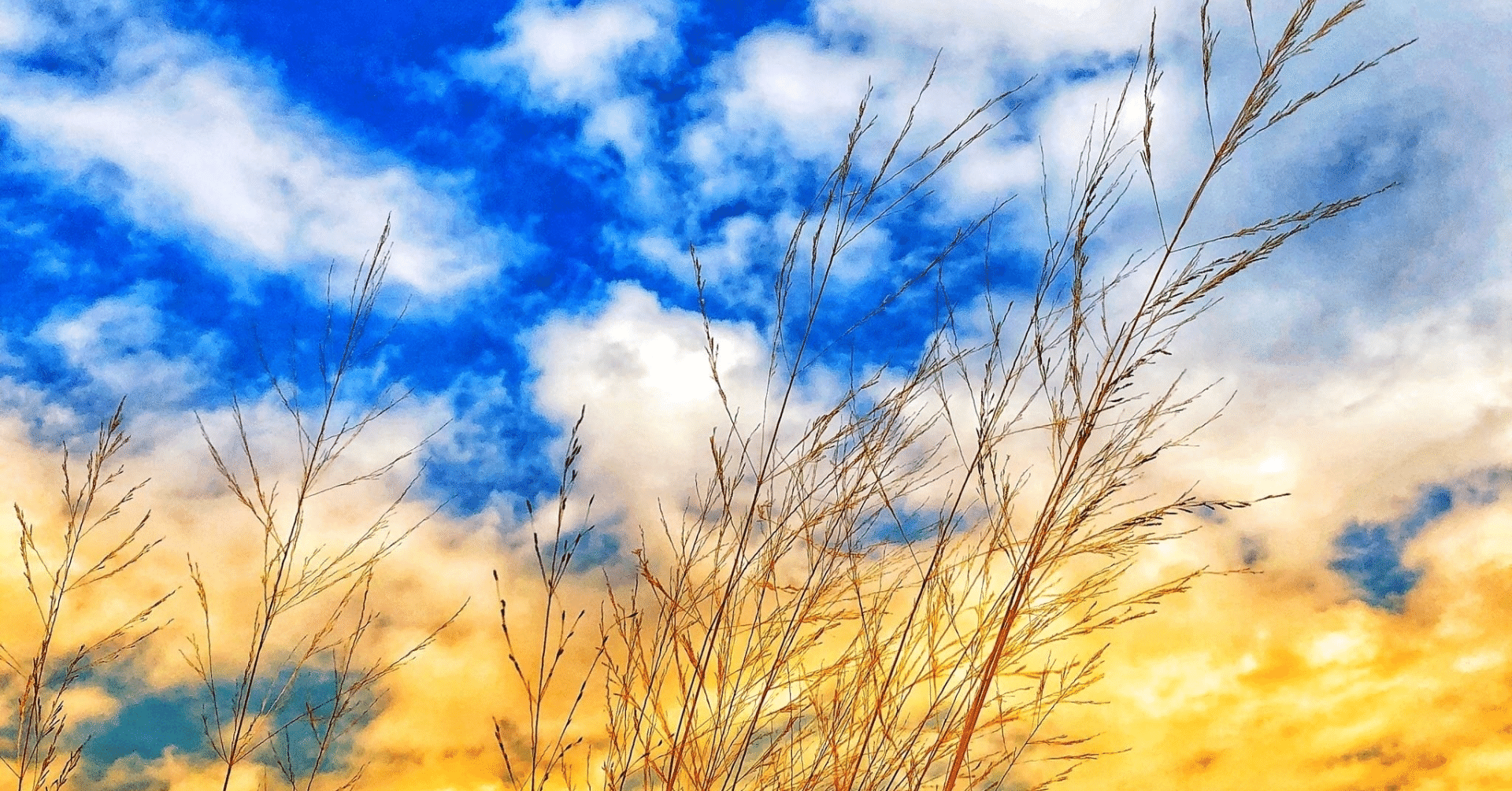 駿台 満点への共通テスト数学｜ルカ