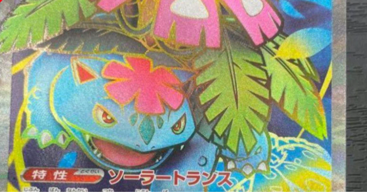 ポケモンカード、トレカ鑑定に関する雑記｜スージー・サムナー