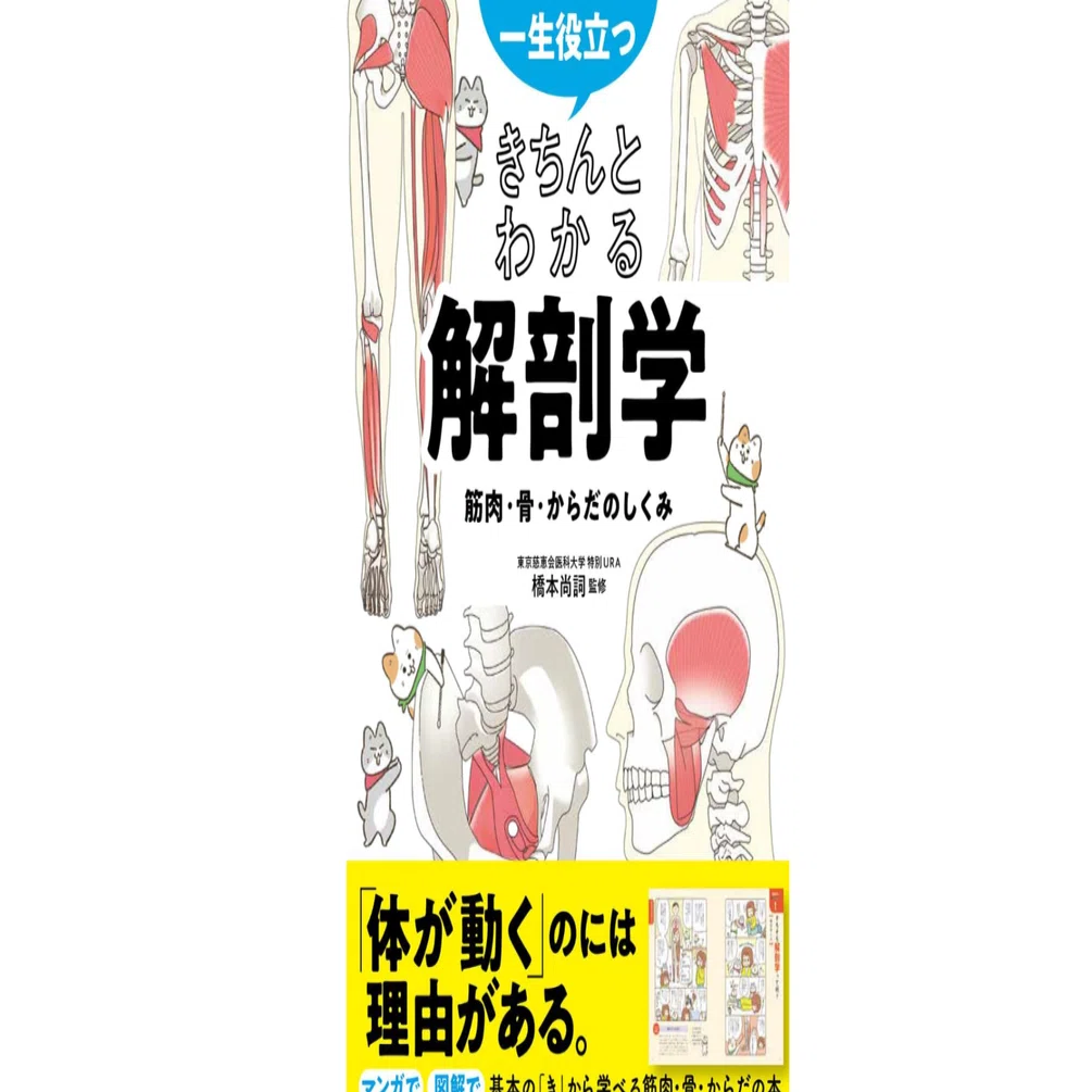 本「きちんとわかる解剖学」要約｜note AIニュース