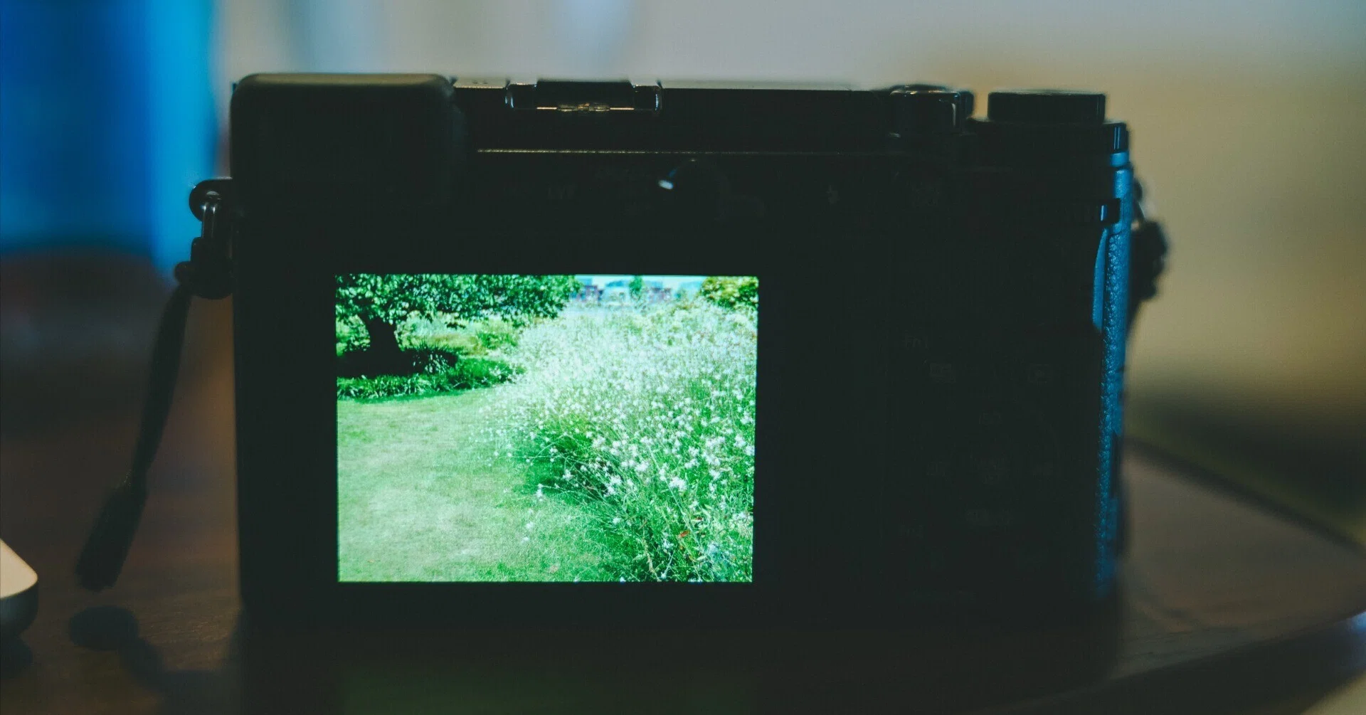 フィルムカメラにしかできないこと | 僕とカメラ | note｜鈴木ユートピア