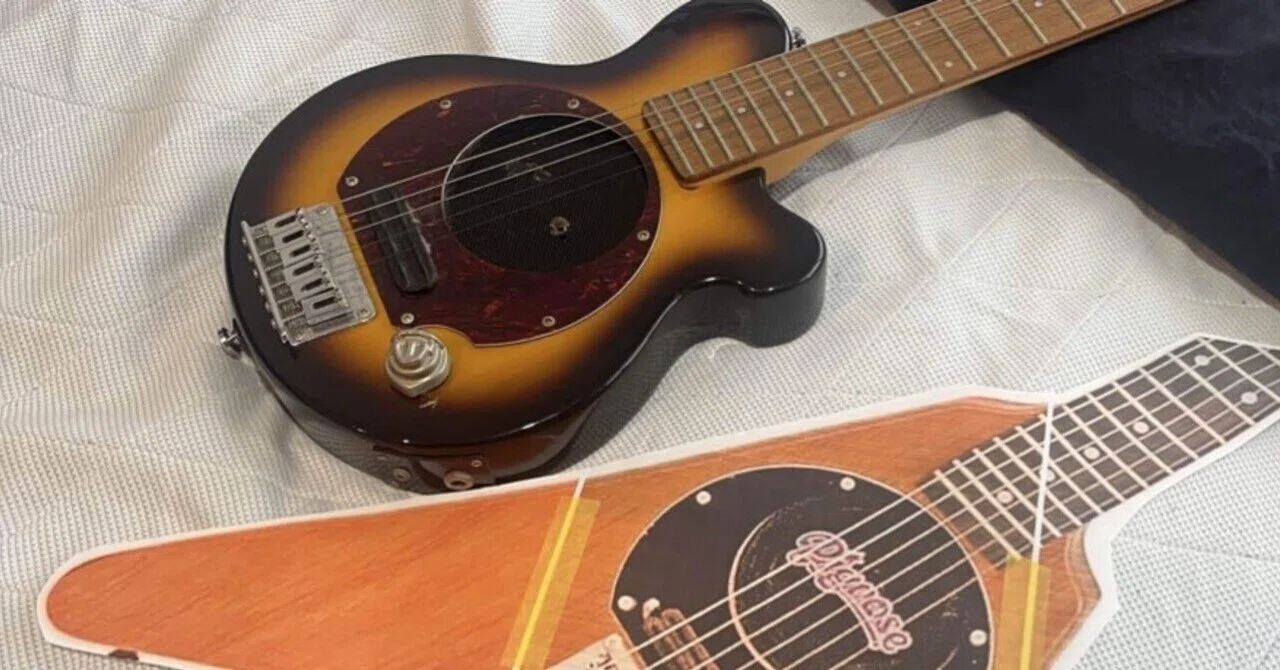 ジャンクギター遊び】Pignose PGG-100 V-shape Mod.(その①テンプレと 
