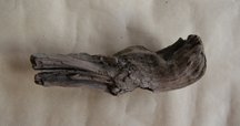 30年前に拾って乾燥させてあった流木 拾ってきた流木の下処理（アク抜き）方法を伝授します