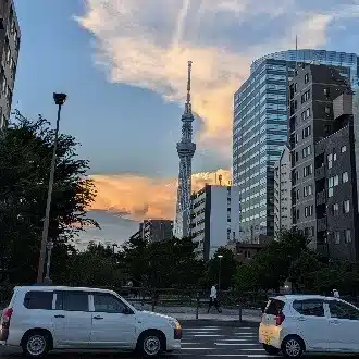 ぴもこ