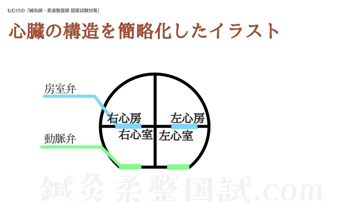 生理学 図解イラストとゴロ合わせで簡単 心周期 の覚え方 森元塾 国家試験対策 Note 生理学 図解イラストとゴロ合わせで簡単 心周期 の覚え方 森元塾 国家試験対策 Note